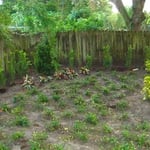 Flowerbed Design