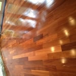 Brazilian Cherry