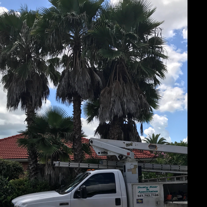 Additional Photos