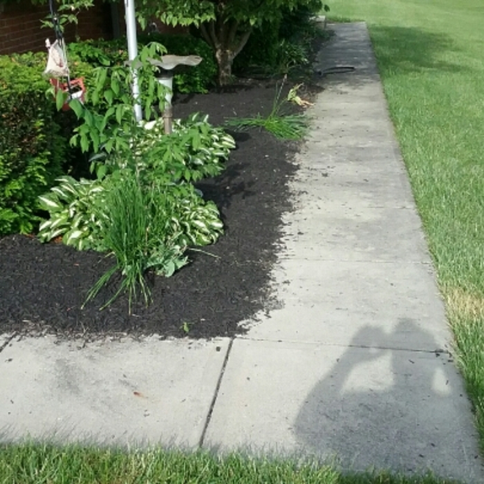Additional Photos