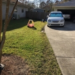 Driveway Before