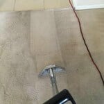 Carpet Cleaning