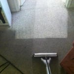 Carpet Cleaning