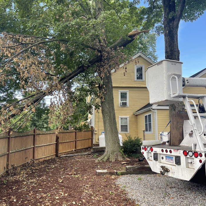 Additional Photos