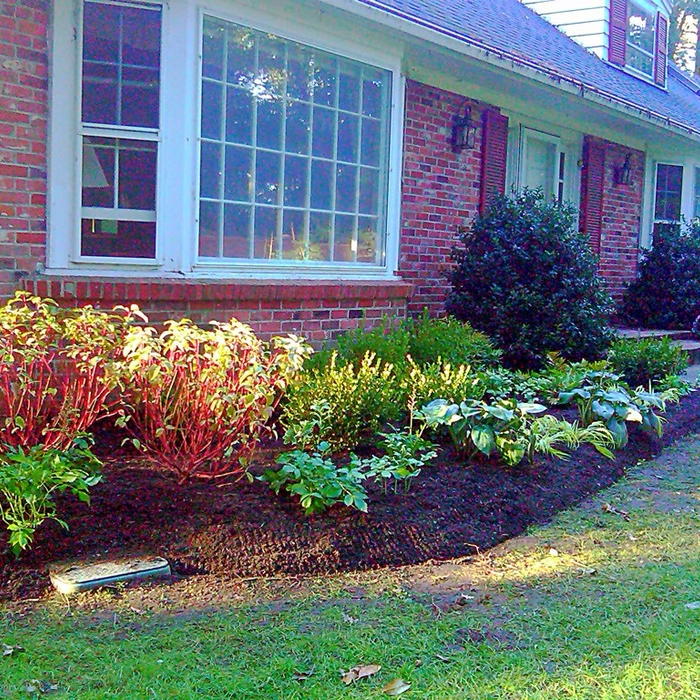 Renovating the entire front and backyard, planting and installing new perennial flowers and shrubs in Weston, Ma.