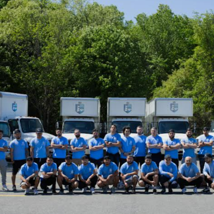 Our Team