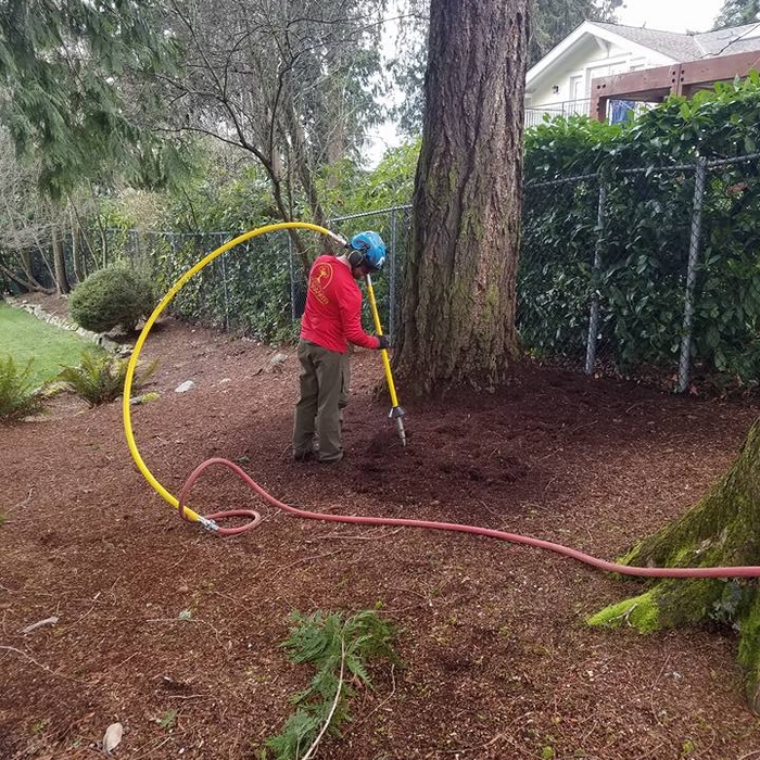 Additional Photos