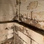 Visible mold growth on basement walls. All County Waterproofing performed full mold remediation and installed a water management system.
Call us today 908-688-0518