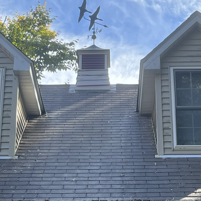 Additional Photos