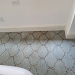 Carpet cleaning