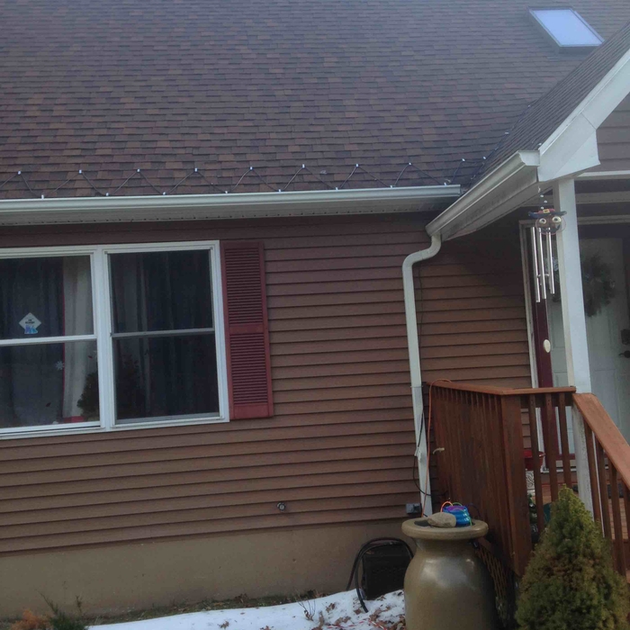 Additional Photos