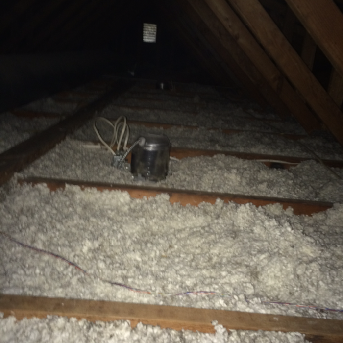 Additional Photos