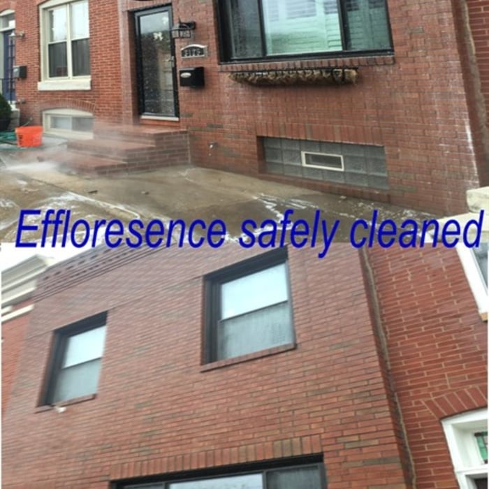 Efflorecence Removal