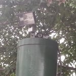 The Camera