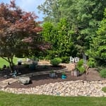 Dry Riverbed Project