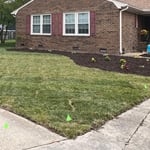 Landscaping Project