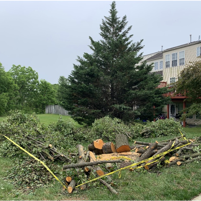 Additional Photos