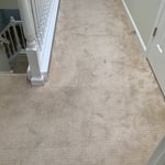After the carpet was stretched