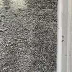 This is how the carpet looked after the repair