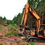Land Clearing Services