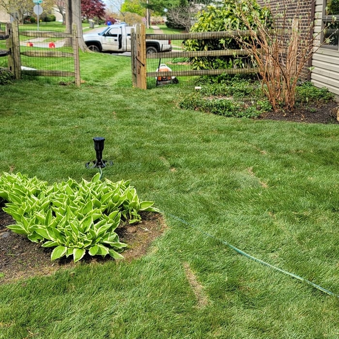 Additional Photos