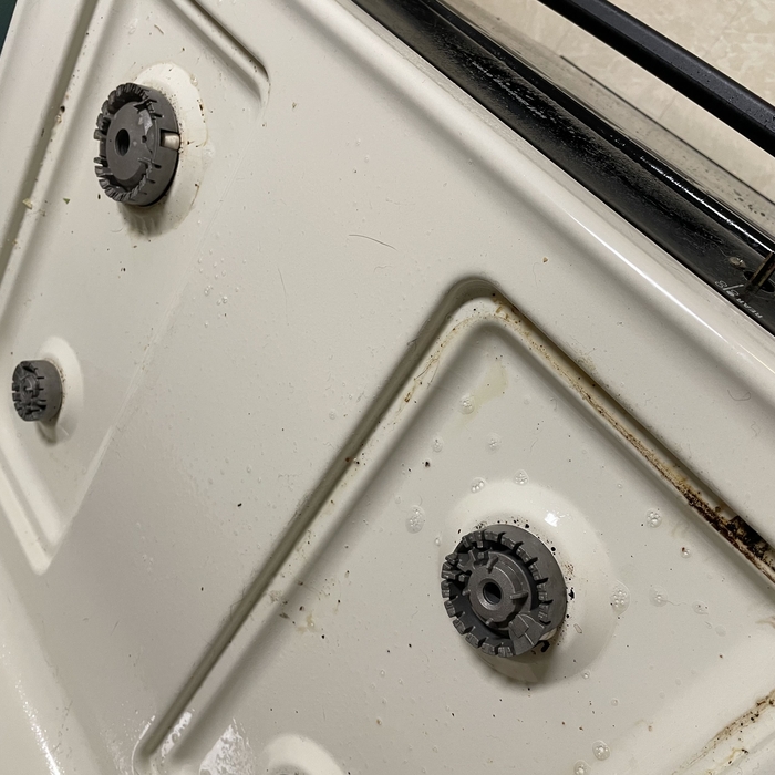 Housecleaning Project