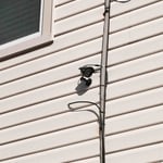surveillance cameras for residential security