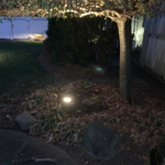 Landscape lighting