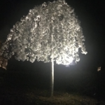 Landscape lighting