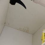 Housecleaning Project