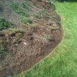 Flower bed ....