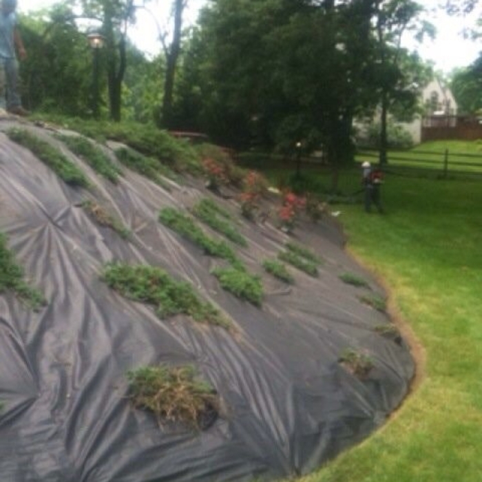 Flower bed...