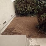 Removel and landscaping pep