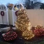 Additional Photos