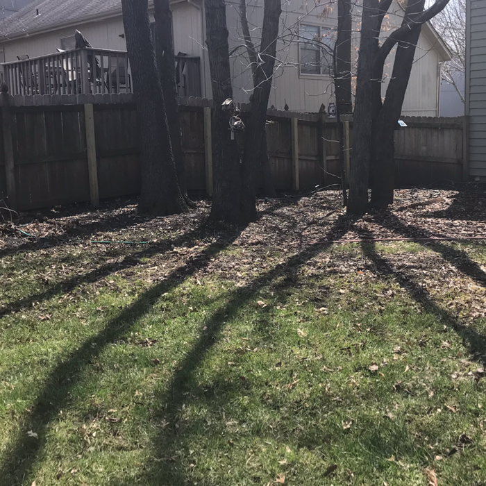 Additional Photos