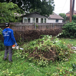 REMOVED VINES FROM FENCE