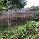 REMOVED VINES FROM FENCE