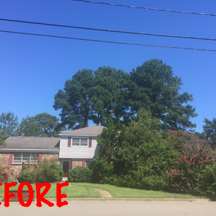 Additional Photos