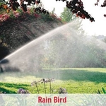 Rain Bird 5004 series head