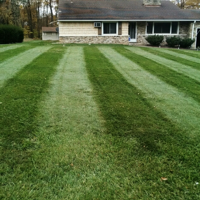 Additional Photos