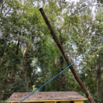 Tree suspended on 21,000 tensile strength ropes.