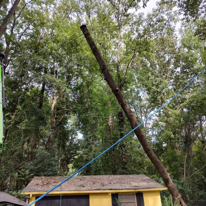 Additional Photos