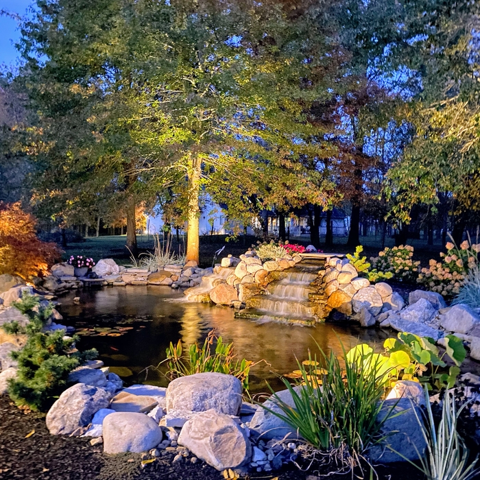 Additional Photos
