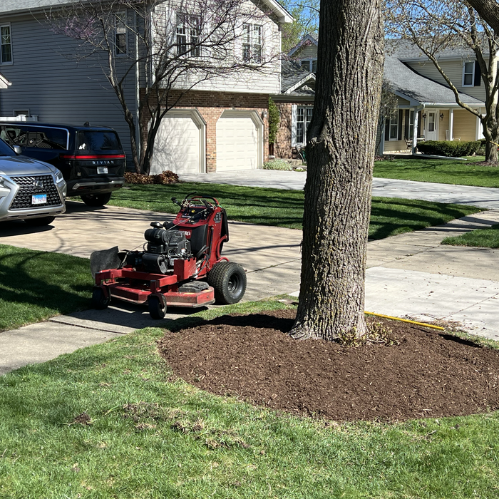 Additional Photos
