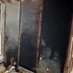 Mold Removal