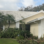 Softwash Roof Cleaning