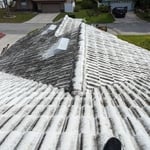Softwash Roof Cleaning