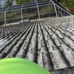 Softwash Roof Cleaning