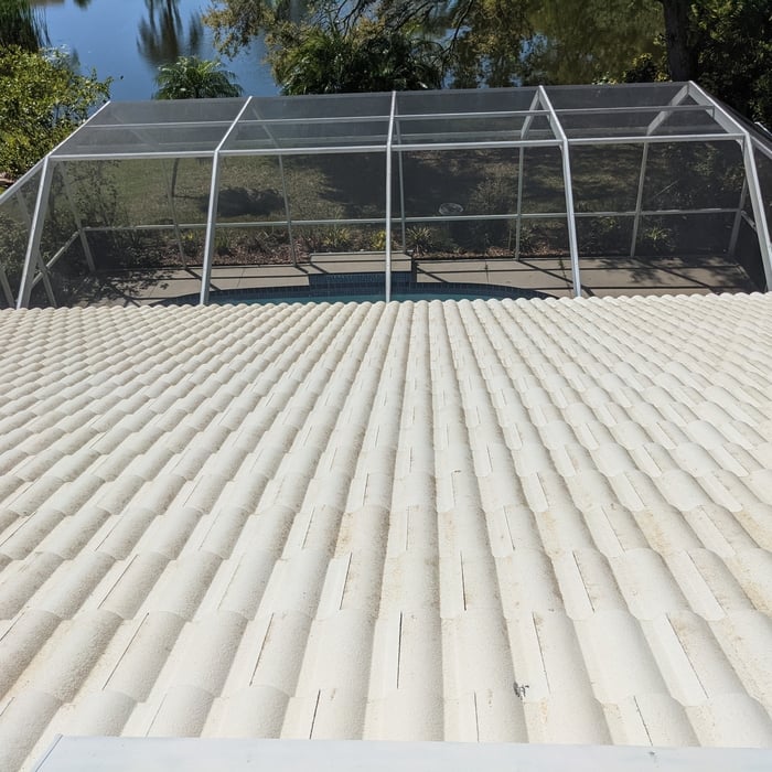 Softwash Roof Cleaning