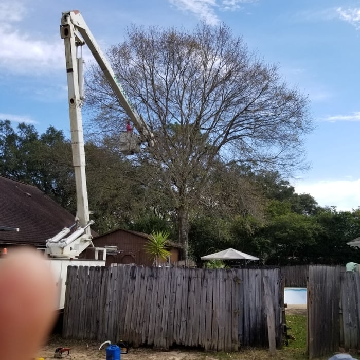 Additional Photos